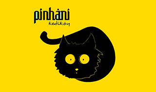 Pinhani'nin Yeni Albümü 'Kediköy'
